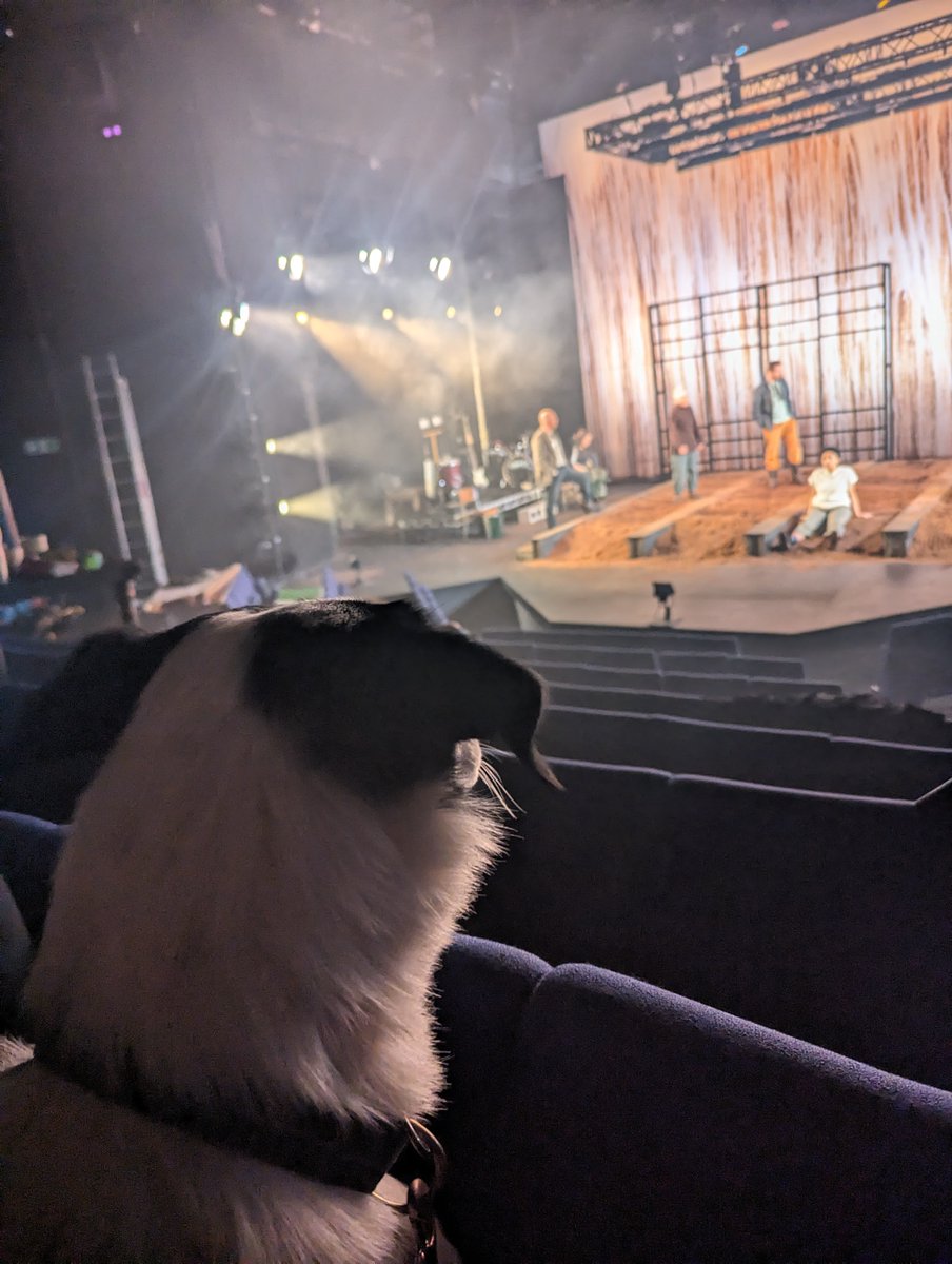 Toby cannot wait to see Sunset Song! 🌾 Toby is a 1 year old Border Collie who loves joining his owner Owen, our head of Production at work, because he just LOVES being around all the people, smells and busyness of our theatre. 🐾 🗓️ 16 Apr - 4 May 🎟️ dundeerep.co.uk/whats-on/sunse…