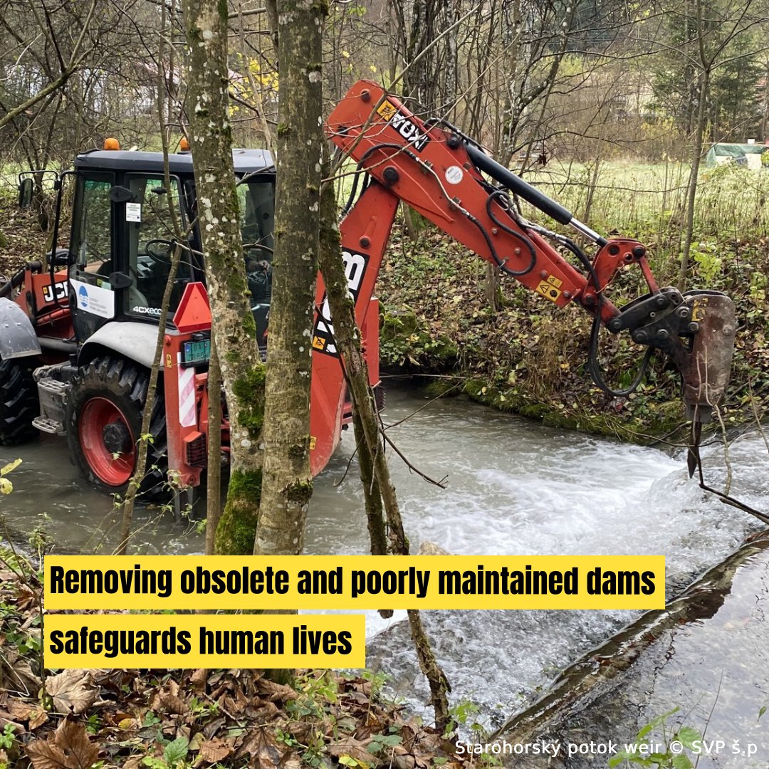 fishmigration's tweet photo. What has #damremoval to do with #safety? Everything! 🚨

#DYK European rivers are fragmented by over 1.2 million barriers? These are both a threat to nature and people as they can collapse or turn into 'drowning machines'

More at ➡️ https://t.co/JHpVuacEgX https://t.co/3AQqsg4ut7