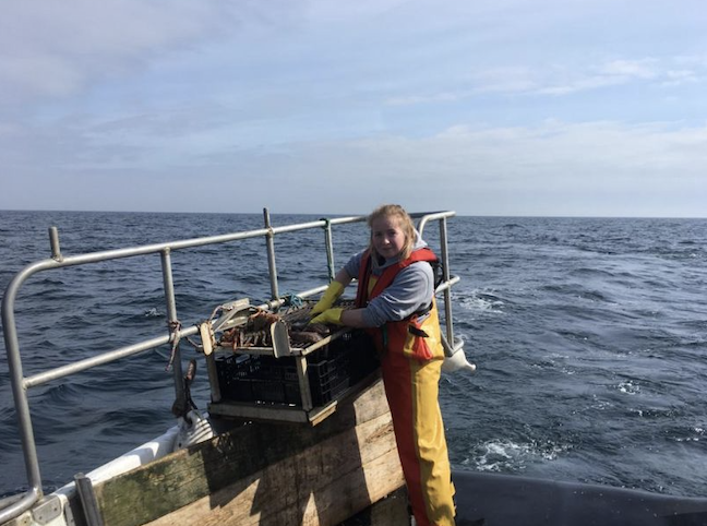 DISSERTATION UPDATE: Hi! Im Meg. My project, based in #Jersey, focuses on investigating the behaviour of three commercially important #crustacean #species and how it is being influenced by #climatechange. #wedoislands