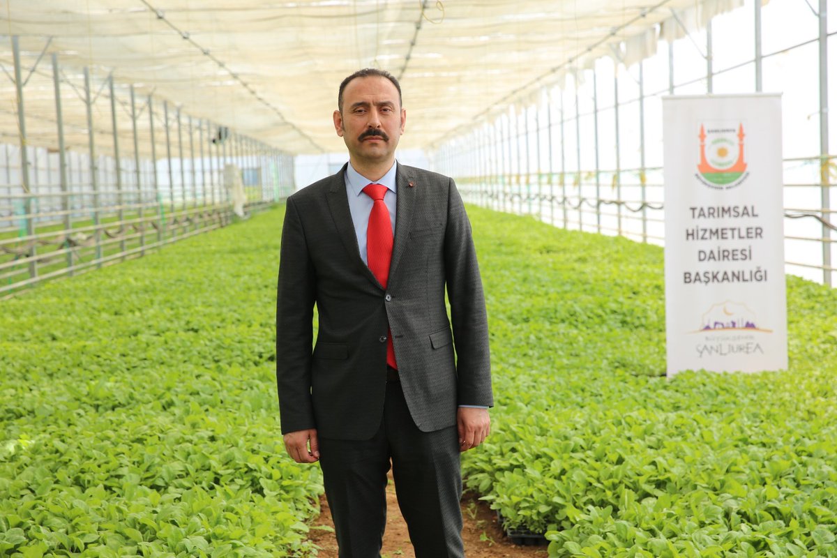 Karaköprü Belediye Başkan Yardımcımız Hamza Bayer, Şanlıurfa Büyükşehir Belediyesi’nin 2 Milyon Sebze Fidesi Dağıtım Programı’nda, Büyükşehir Belediye Başkanı Sn. Mehmet Kasım Gülpınar’a eşlik etti. 

Büyükşehir Belediyesi’nin kendi seralarında üreterek çiftçilerimize ücretsiz