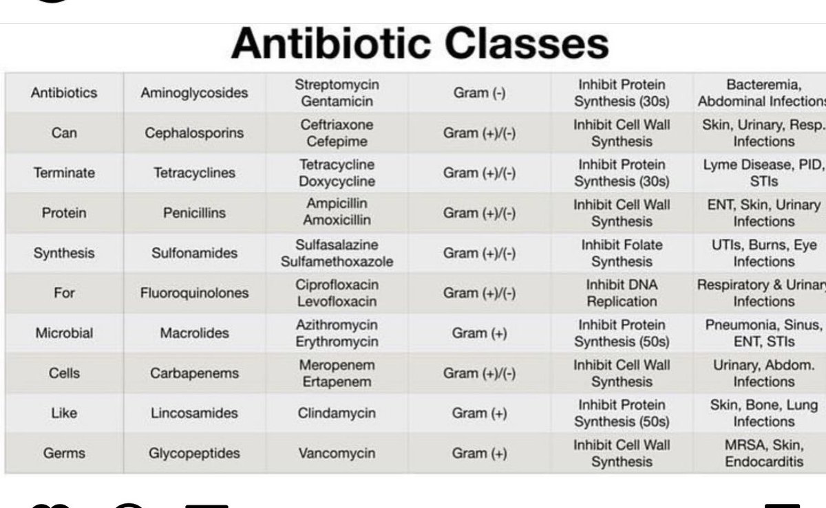 Antibiotics basics