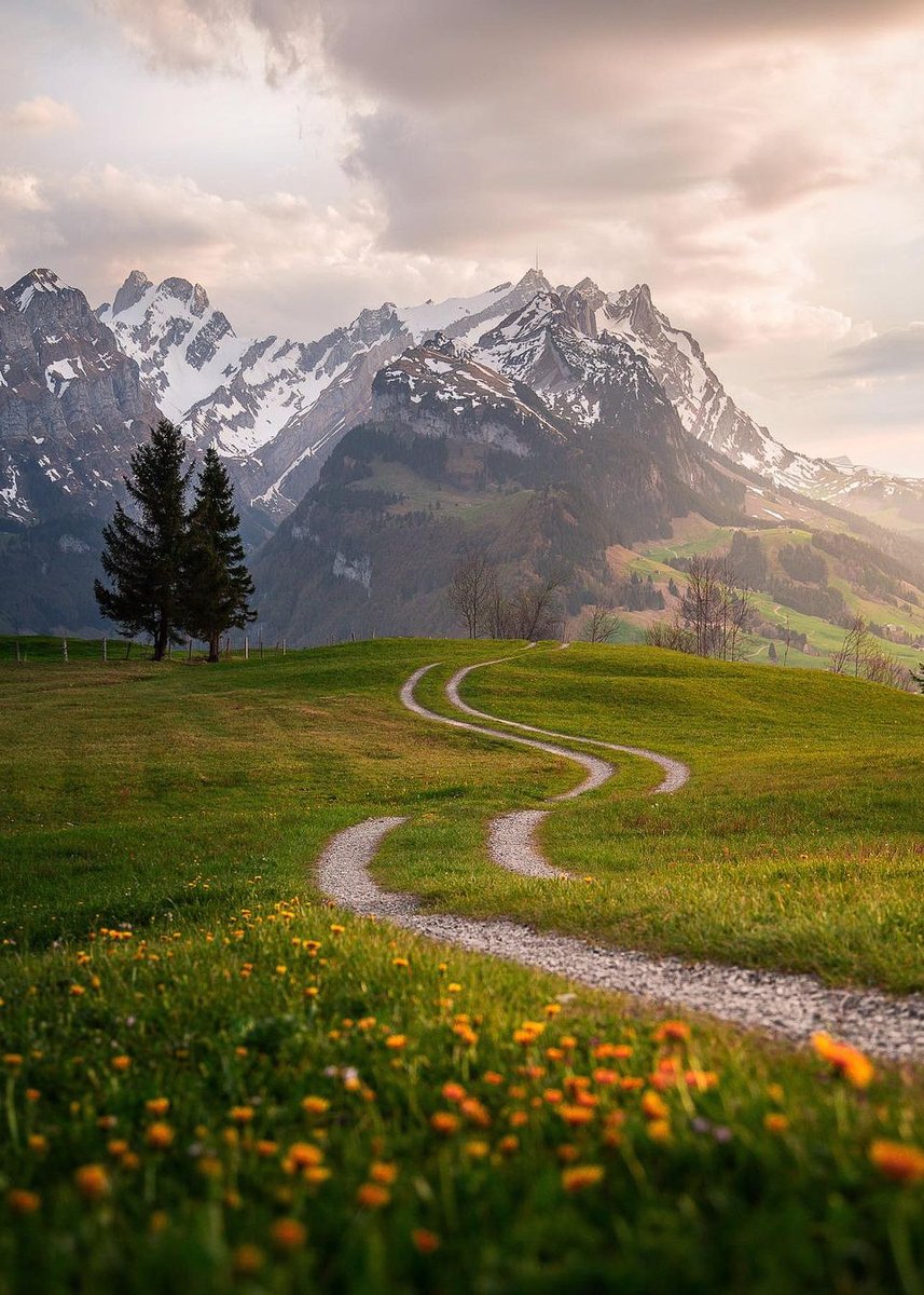 “That is where my dearest and brightest dreams have ranged – to hear for the duration of a heartbeat the universe and the totality of life in its mysterious, innate harmony.” ~ Hermann Hesse Good morning, happy Monday to all.🤍 · © Appenzell, CH by doeeme / IG