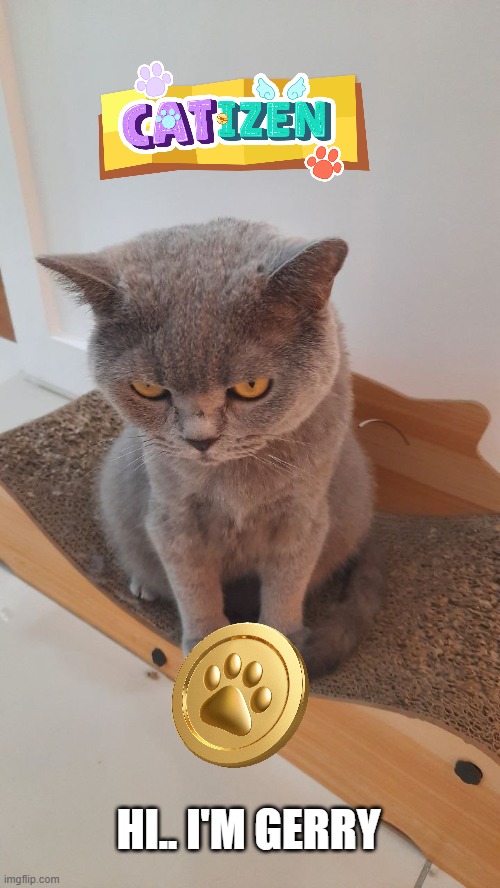 jinchoi0918's tweet photo. Let's play the @CatizenAI and join the #CatizenEvent right now!! It's my friend's cat. UID 2856874 https://t.co/lriQQ3wT7Q