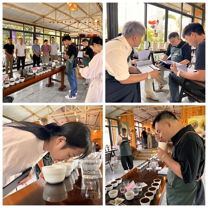 HainanToday's tweet photo. Recently, #Chengmai’s first green #coffee #bean competition was held at #Fushan Kaka Garden in Wensheng Village, Fushan Town. Five Robusta coffee tasters served as judges for the 12 coffee growers presenting 32 specialty coffee beans, each offering a unique flavor profile. https://t.co/7yzEGjwv4x