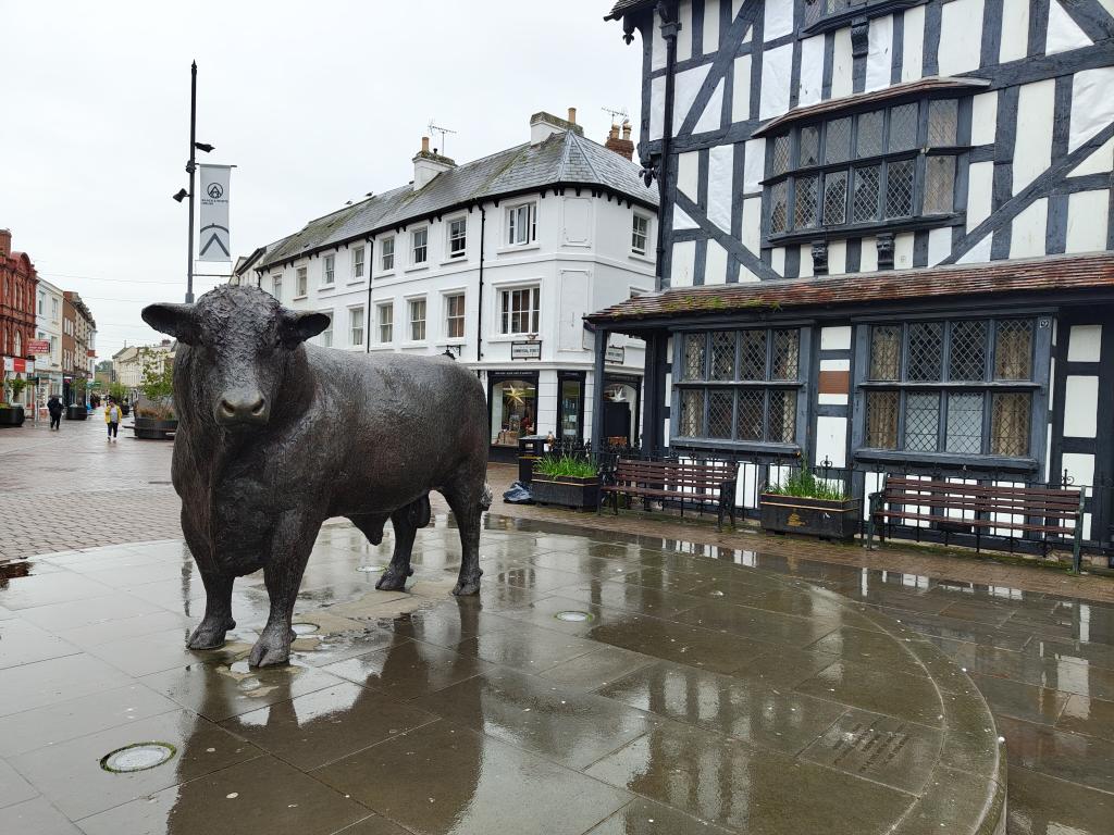 It's a bit damp in #Hereford today