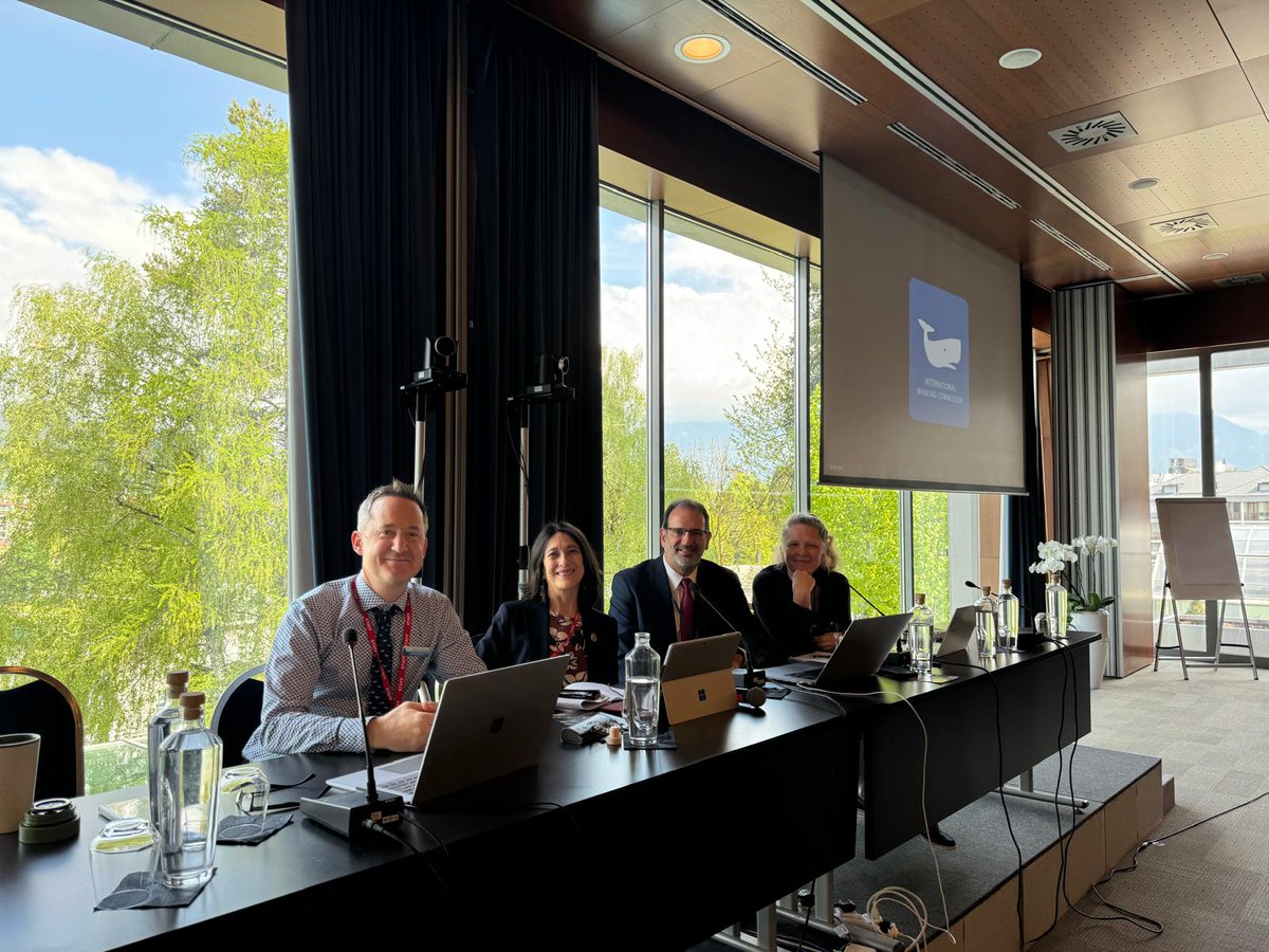 The IWC Scientific Cttee meeting is underway in Bled, Slovenia. Over two weeks, many of the world's leading experts in #cetaceanscience will discuss issues from population status to whale watching & ocean noise. The meeting report will be published at iwc.int/en/