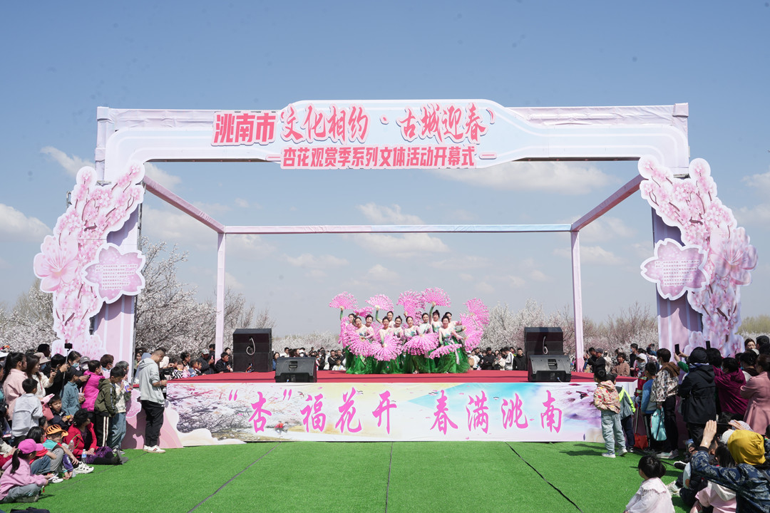 📸Experience the vibrant apricot blossom-viewing season in Taonan, #Jilin province! Along with the blooming apricot blossoms, visitors can also enjoy cultural performances and interactive games until May 3. 💃🎶#LiveItUpInJilin