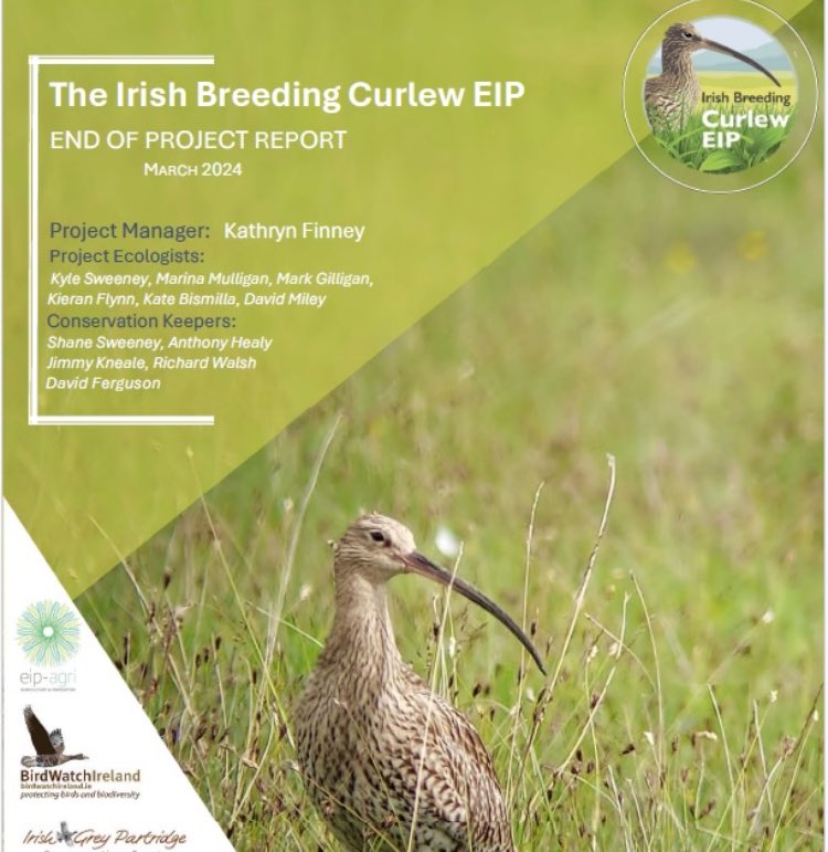 The Irish Breeding Curlew EIP has now concluded. We would like to thank all the farmers involved who showed such commitment to saving 🇮🇪breeding Curlew, all the dedicated project staff, ⁦@agriculture_ie⁩ Locally Led for their support and all our supporters and followers. 👏