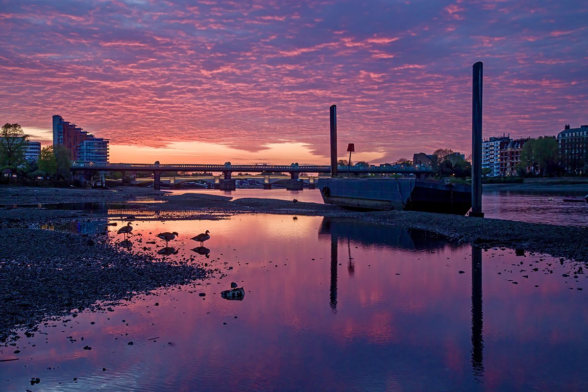 The Pink Hour - the sky lit up on Saturday night down on the #thames in #putney #sharemondays2024 #wexmondays #fsprintmonday @MiradorDesign #wildaboutputney @WarrenPutney @putney_bid