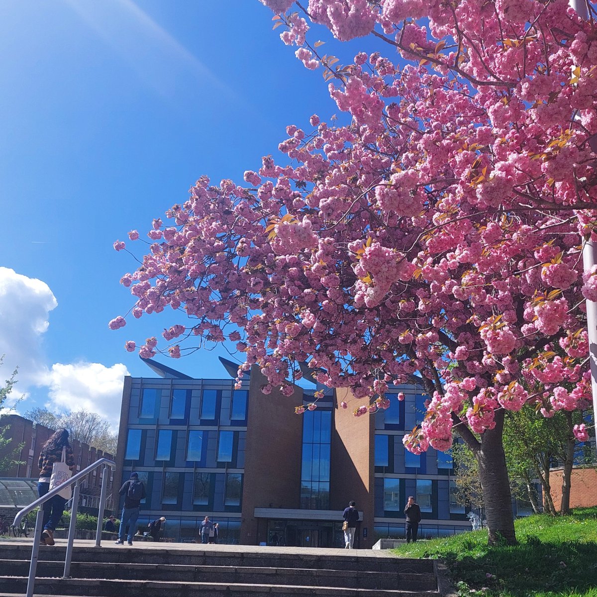 We are so excited to see blossoms on campus again!🌸 What was your favourite time of the year at Sussex? #Spring #SussexUni