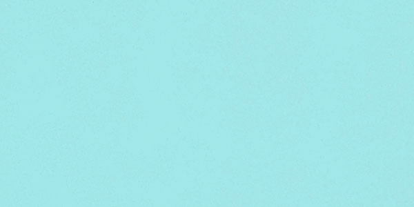 BLUE FOOTED BOB tweet media