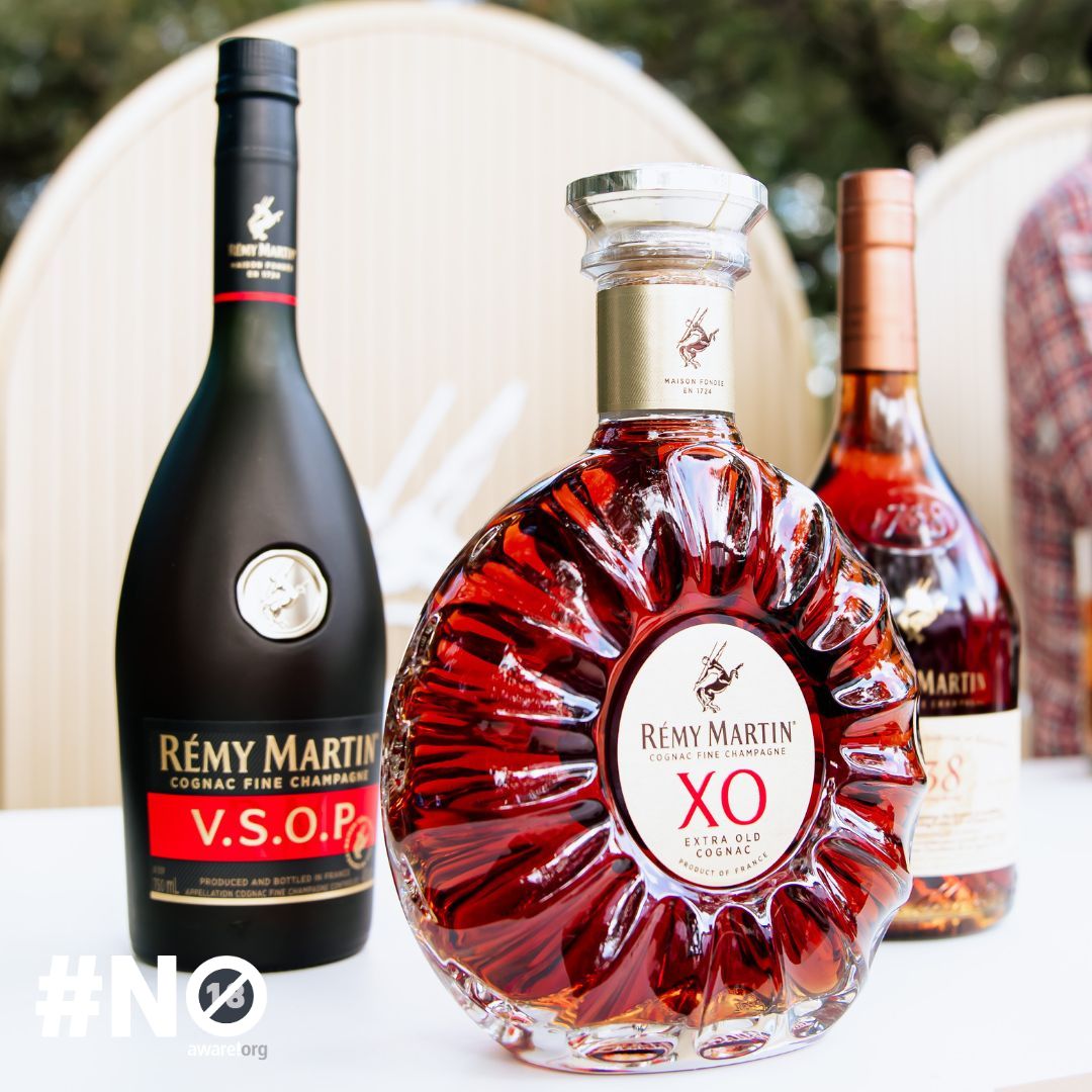 In the world of Rémy Martin, excellence comes in threes. Discover your signature choice from our collection of classic cognacs.

#TeamUpForExcellence

Not for sale to persons under the age of 18. Drink responsibly