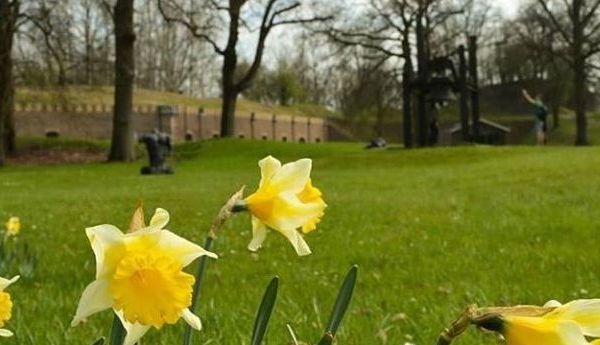 Er is een nieuwe partnernieuwsbrief verschenen! Hierin staan we o.a. stil bij het besluit van het GO over een Perspectief #HollandseWaterlinies, de 1e Werkconferentie Hollandse Waterlinies en de nieuwe voorzitter van het Kwaliteitsteam.

Lees hier meer: unescowerelderf.m12.mailplus.nl/archief/mailin…