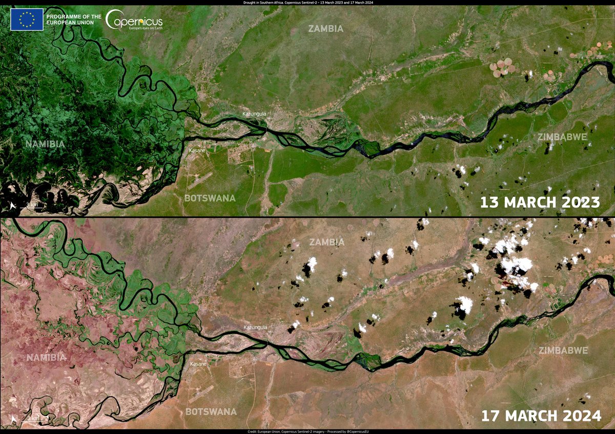#ImageOfTheDay 

In recent months, southern Africa has been affected by a severe #drought, amplifying humanitarian & environmental crises ongoing in the region

Effects of the drought in 🇿🇼🇳🇦🇧🇼🇿🇲 are visible when comparing these #Sentinel2 🇪🇺🛰️ images from 2023 & 2024