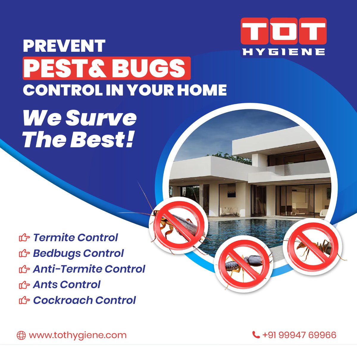 #PestControl #CleanLiving #TOTHygiene #PestCleaningServiceInCoimbatore #OneTimeCleaningServices #HousekeepingServicesinCoimbatore #Cleaningservicenearme
#CleaningCompanyNearMe #PestControlNearMe