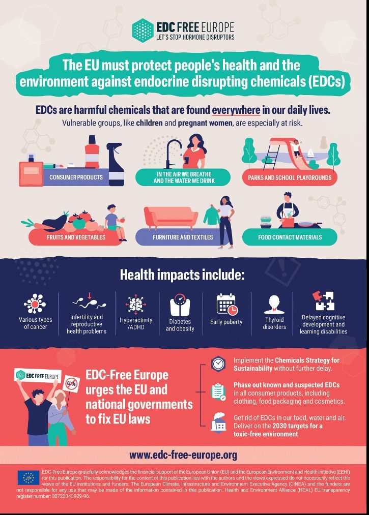 📢 From @EDCFree infographics to an elections toolkit for youth by @WECFgermany, & CHEM Trust’s manifesto to MEPs, NGO’s campaigns have spread across Europe, urging the EU to tackle chemical #pollution. More here: buff.ly/3Q9wmIF #StrongerREACH #PFAS