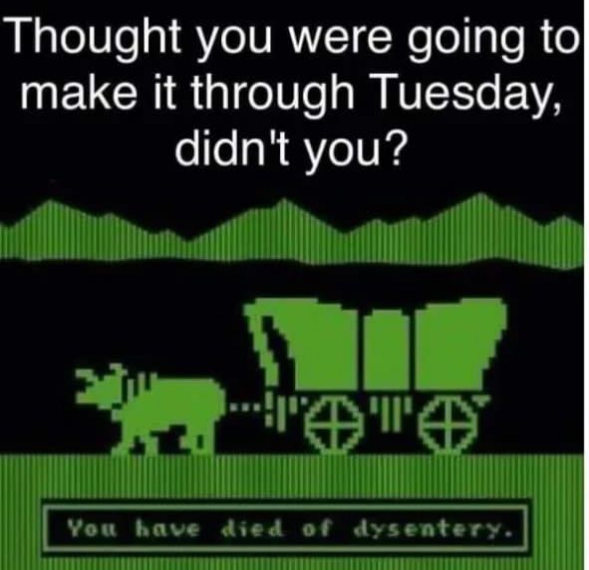 #YouGuys!! #Haha #ForReal

#LOL #OregonTrail #DadLife #Game #Life #Stress #Dysentery #Food #Eat #Computer #OldSchool