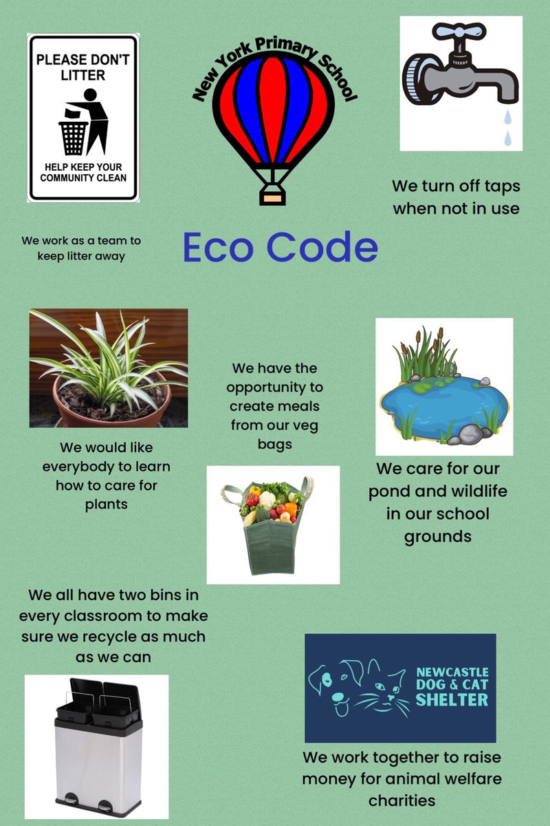 NYPS_ECO's tweet photo. Here is our New York Primary School Eco Code

We hope that we can look at this around school and all try and make one small change to help look after our school and its environment https://t.co/R8AXV4VOpF