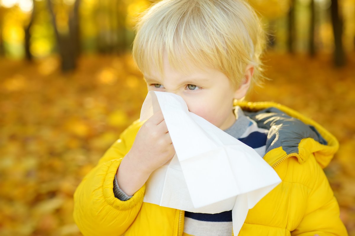 El 80% de los niños con rinitis alérgica no tienen tratamiento adecuado. Esta enfermedad afecta a uno de cada cuatro niños y un tercio de ellos no tienen diagnóstico. #rinitisalérgica seorl.net/el-80-de-los-n…