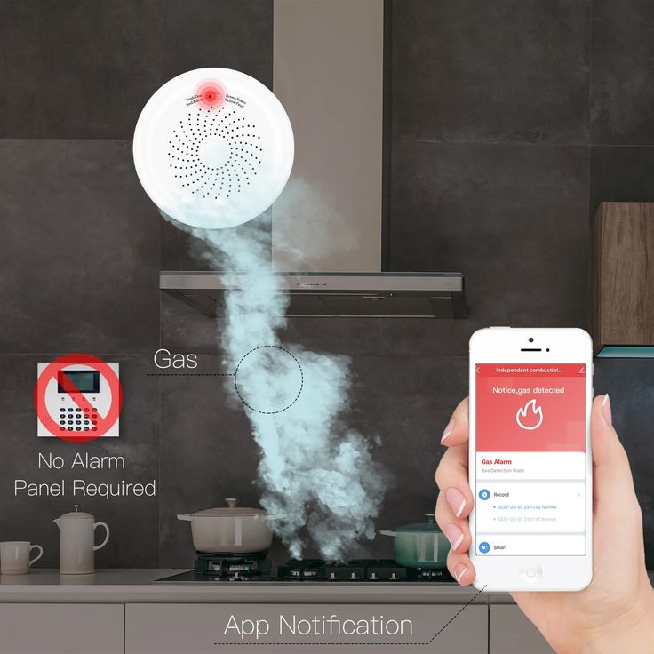 geosecure's tweet photo. Smart gas leakage detector, receive notification anywhere you go #SmarterLiving2024 #gas #detector https://t.co/A7xobB8pN5