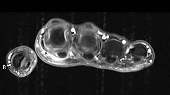 JuanMiranda tweet media