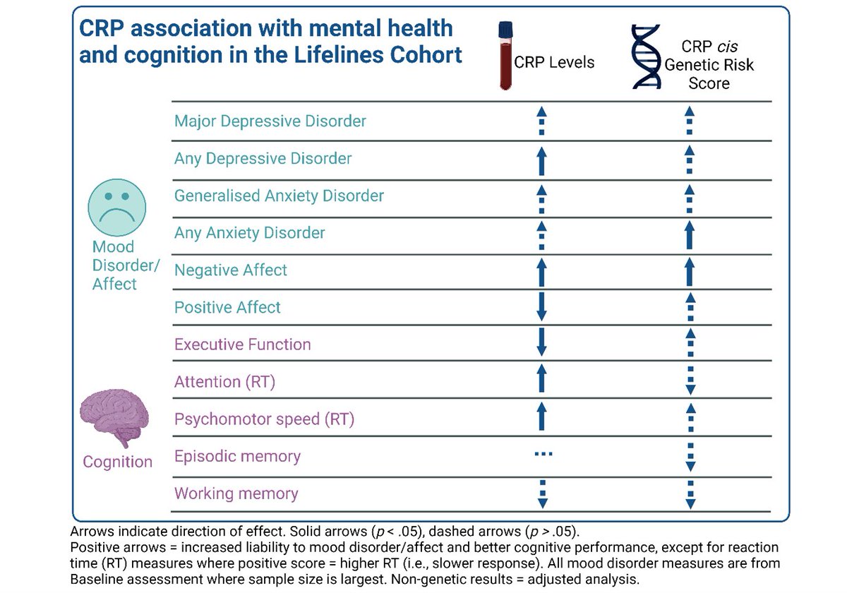 Results from our new preprint on the role of #Inflammation in #depression, #anxiety, affect, and #cognitive functioning in the Lifelines Cohort. 🔍👉doi.org/10.1101/2024.0… @golam_khandaker @giollabhui @mendel_random @eimear_foley1 @BristolUni @Brms_Research @mrc_ieu