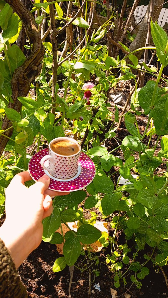 Günün ilk kahvesi 🪻☕
#kahve #türkkahvesi