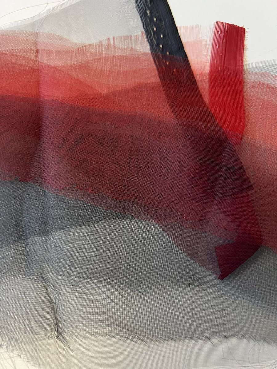 zoecooksandsews's tweet image. Textile conservation hive mind: where do you buy Stabiltex or Tetex from now?
Is there a substitute? My supply is running low! #textileconservation #Stabiltex