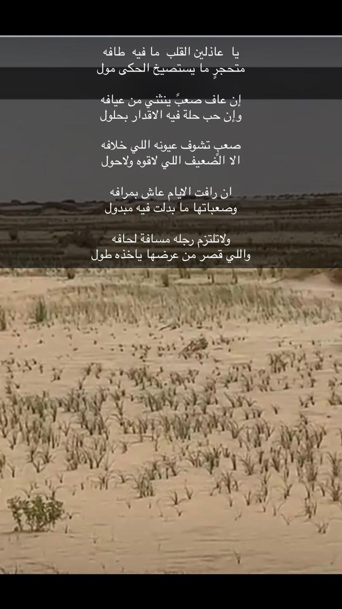 سعيد راشد عفيفه tweet media