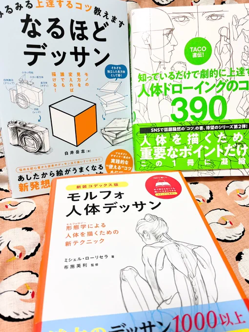 技法書買いました!

なんやかんや未履修だったモルフォ人体デッサン…!

画力アップめざして頑張ります💪✨ 