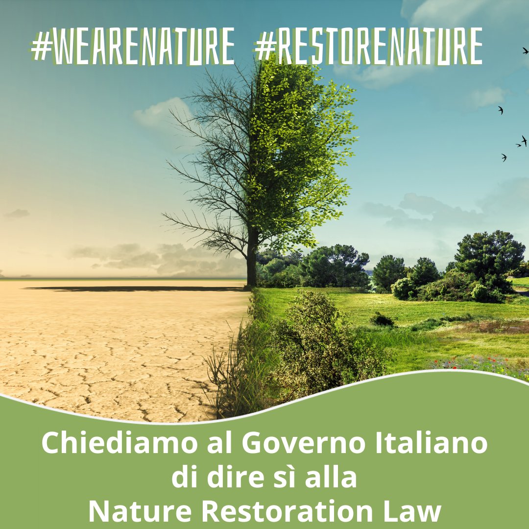 Oggi è l’#EarthDay volevamo celebrarlo festeggiano la #RestoreNature Law ma i governi non l’hanno adottata! 🤷‍♀️

C’era un accordo! 1MIL di cittadini, 200 ONG e +6.000 scienziati la chiedono.

@EUCouncil @GPichetto @GiorgiaMeloni agite subito perché #WeAreNature