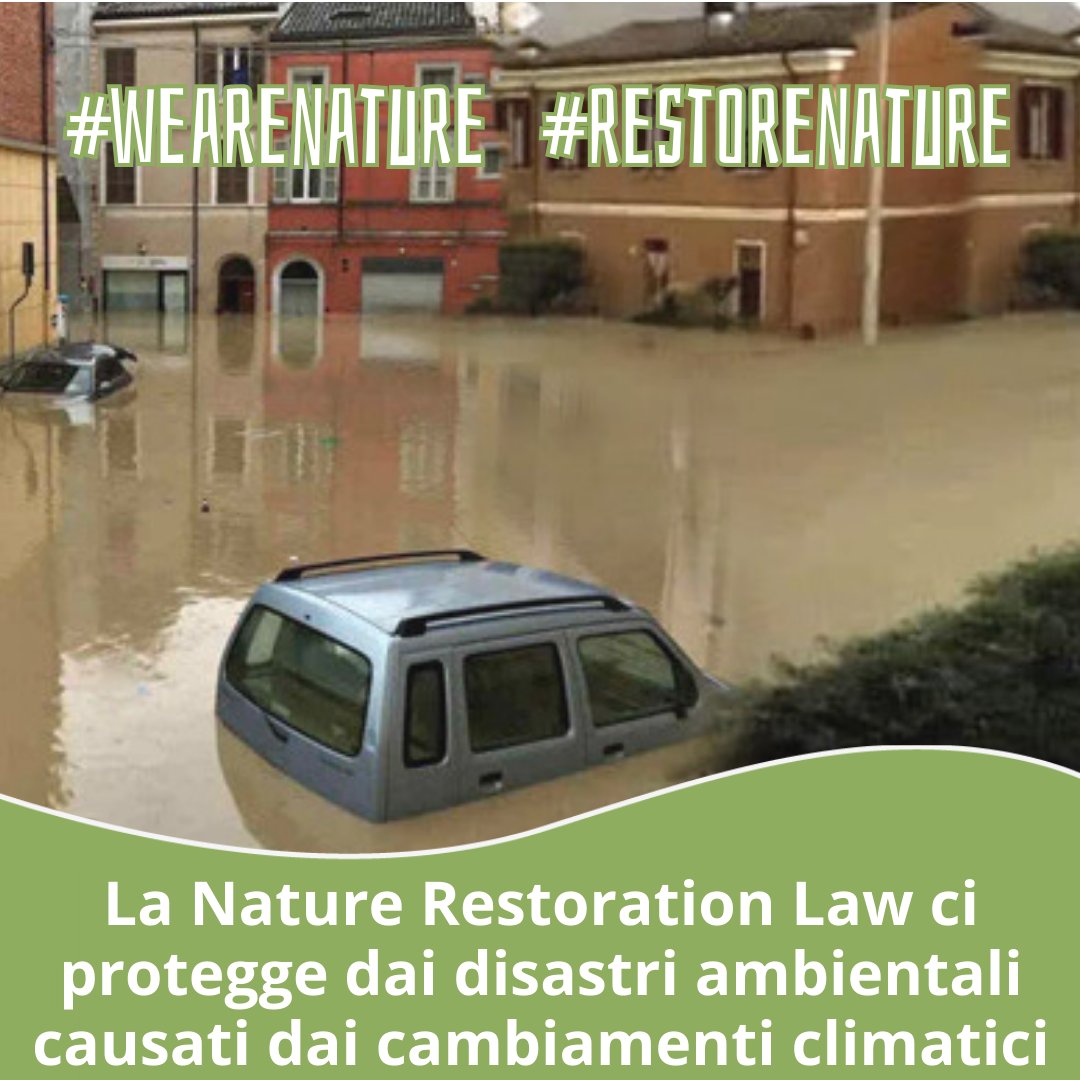 🌡️TEMPERATURE RECORD
☔️ALLUVIONI DEVASTANTI
🔥INCENDI
🌞SICCITA’

Questa è la realtà in Europa.

La #RestoreNature Law è la soluzione! @EUCouncil, @GPichetto, @GiorgiaMeloni non possiamo più aspettare
#earthday #WeAreNature