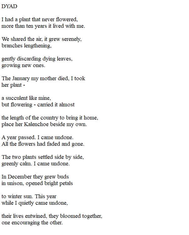 Such an excellent poem by Sophia Argyris in the magazine Fevers of the Mind. #smallpress #poetry #poetrytwitter #art #literaryjournal