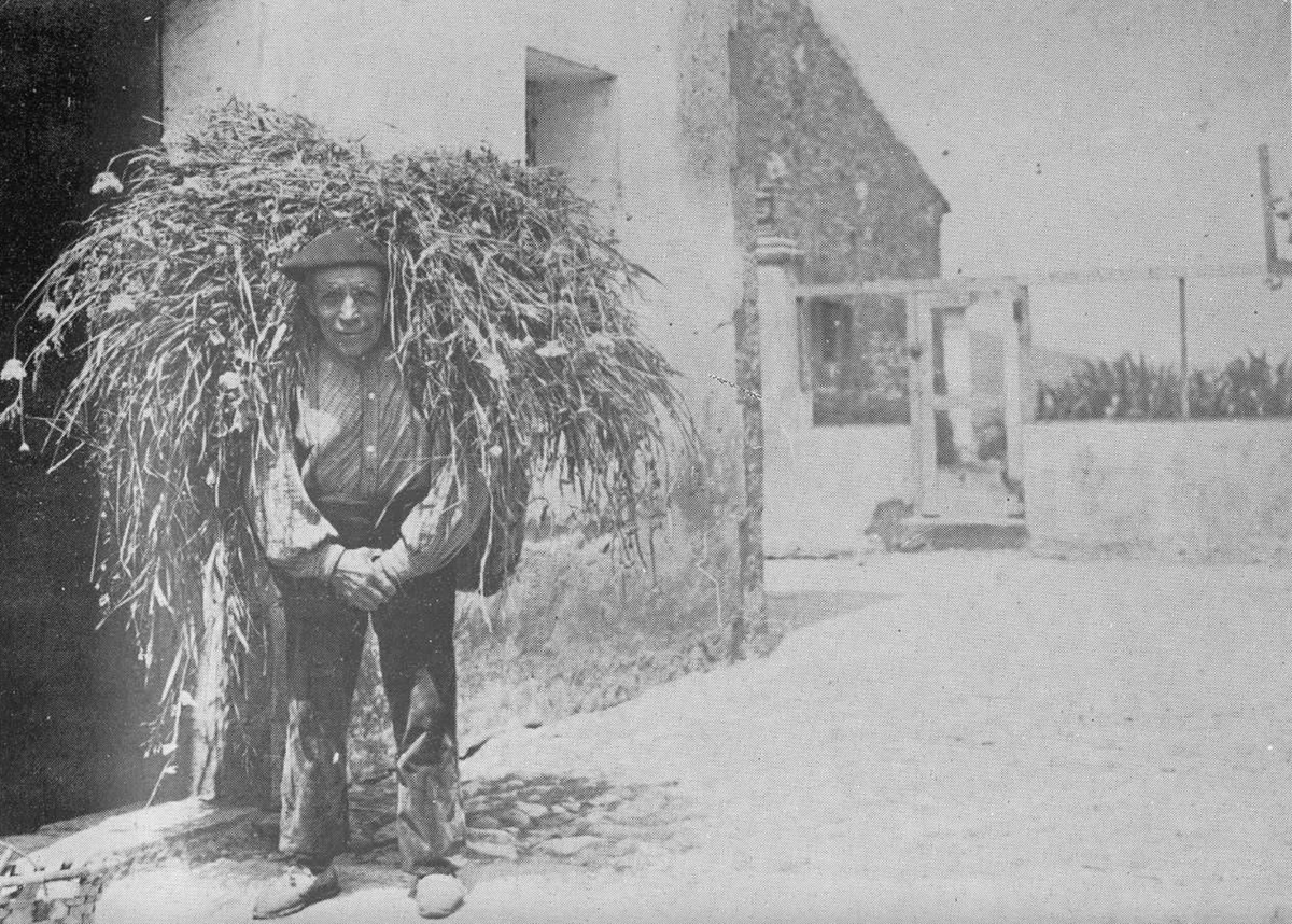 Aldeano Montañés, 1917
📸 Araúna