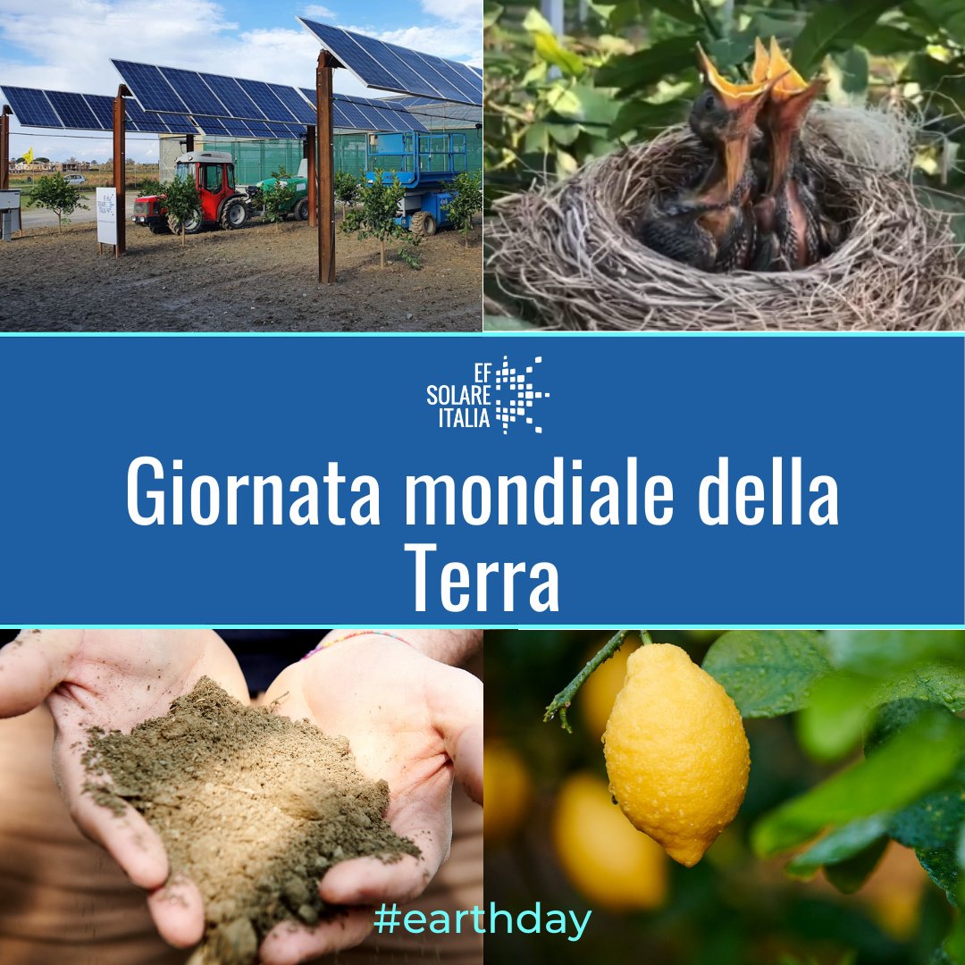 EF Solare Italia tweet media