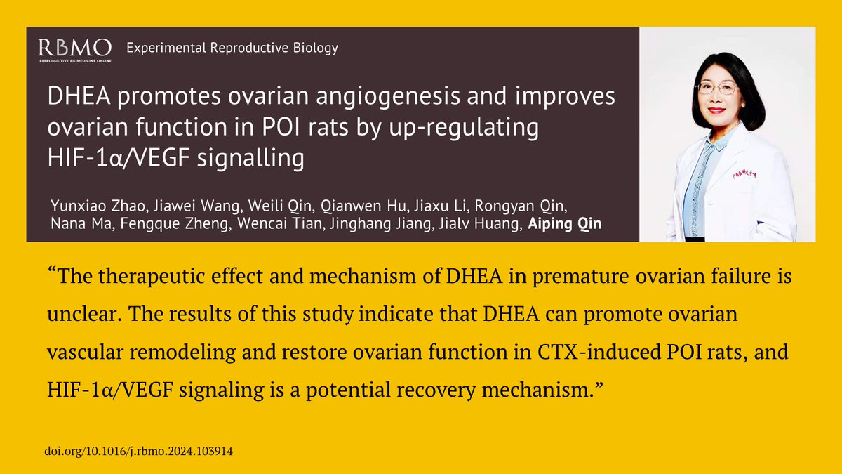 The authors say the findings of this study into ovarian angiogenesis, suggest a promising therapeutic approach for the clinical management of patients with premature ovarian insufficiency. doi.org/10.1016/j.rbmo…