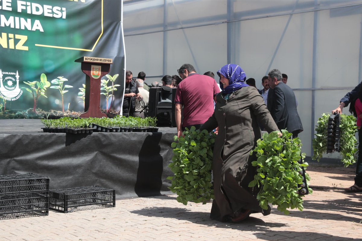 Üreten ve gelişen bir #Şanlıurfa hedefiyle durmaksızın çalışan ve kendi imkanlarımızı sonuna kadar kullanan ekiplerimizle hem tasarruf sağlıyoruz hem de çiftçilerimizin üretim kapasitesine destek oluyoruz.

Şanlıurfa Büyükşehir Belediyesi olarak kendi seralarımızda ürettiğimiz 2