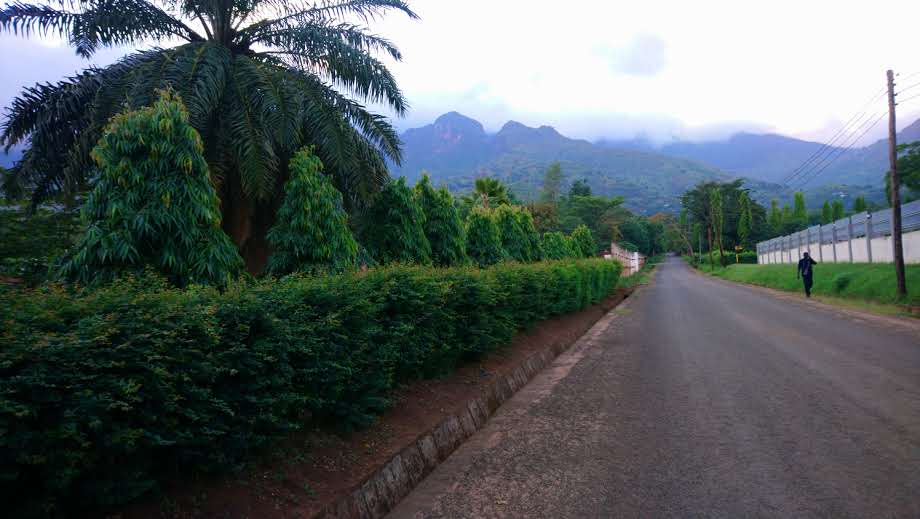 Happy #EarthDay2024. Morogoro is beautiful place to visit.