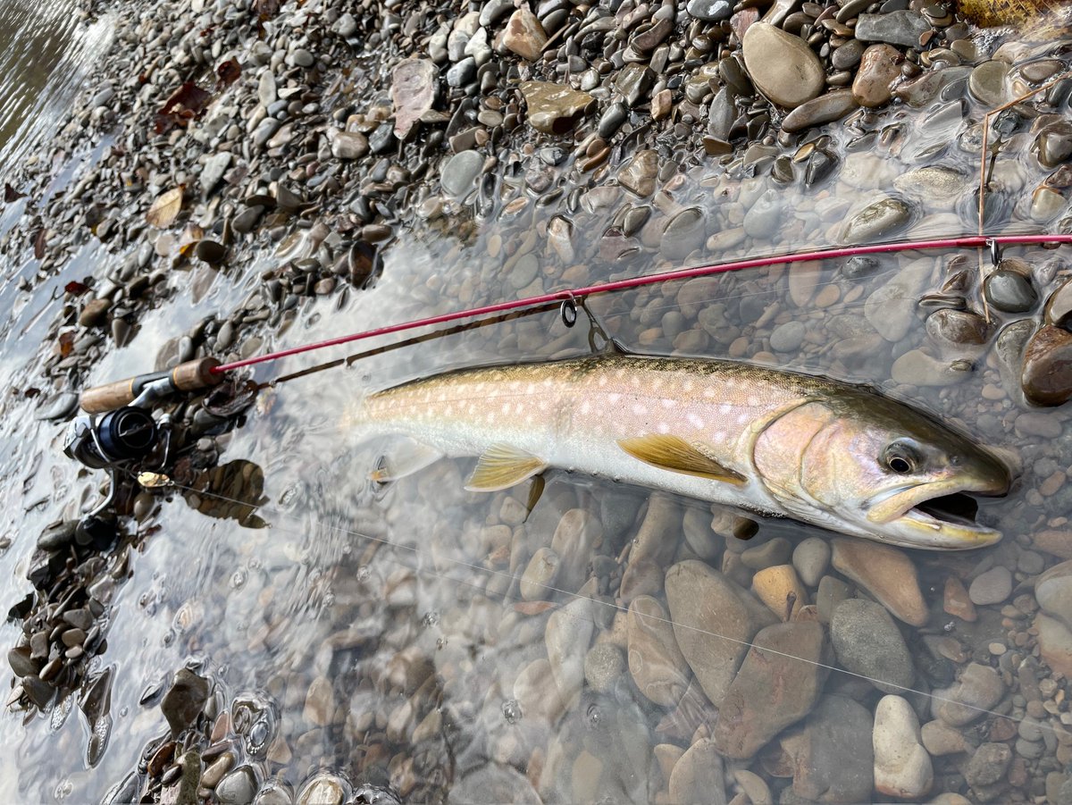 かなり前の道東遠征
当時のスタイルと思い出の詰まった魚