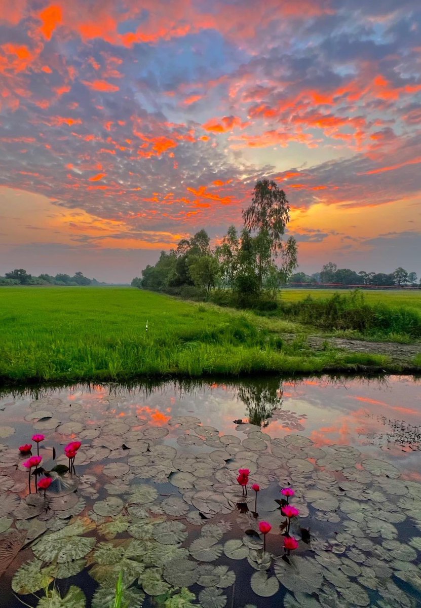 Good morning, a good start to the week everybody. 🧡🌿🌺 #NaturePhotography #naturelovers