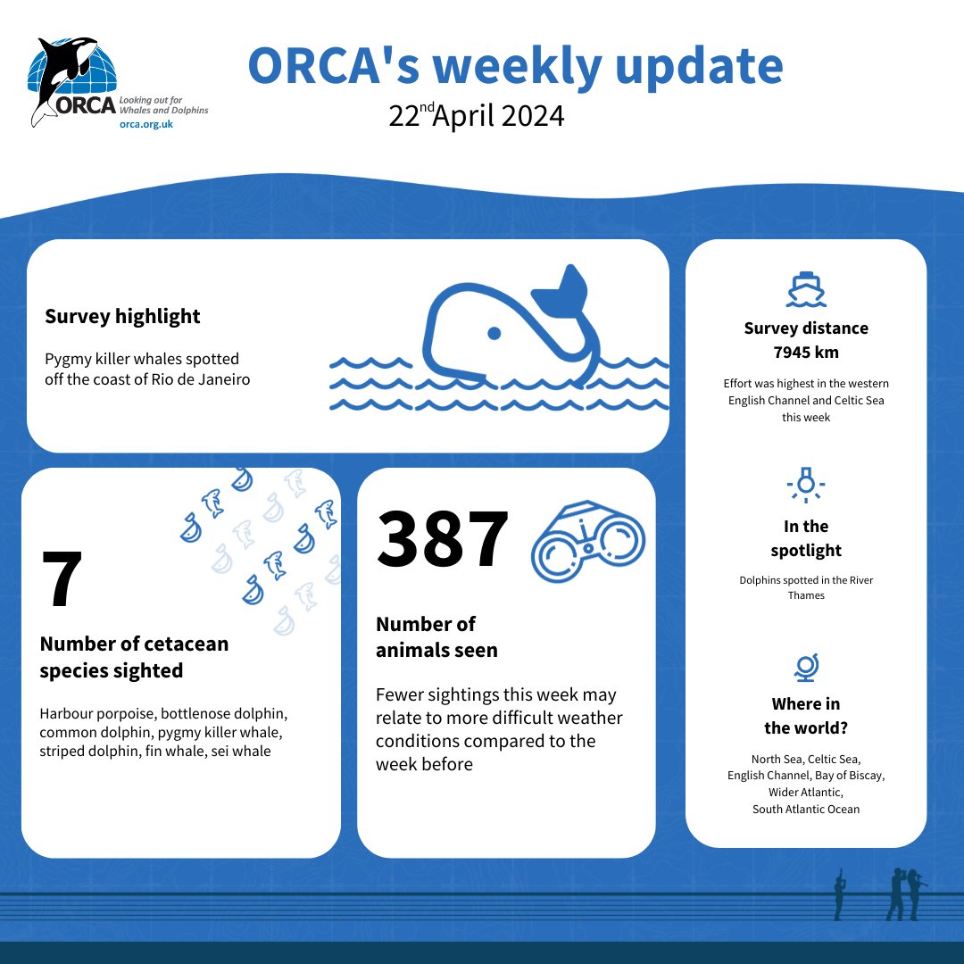 Here is our weekly snapshot summary of where ORCA has been and (most importantly) what we have seen... orca.org.uk