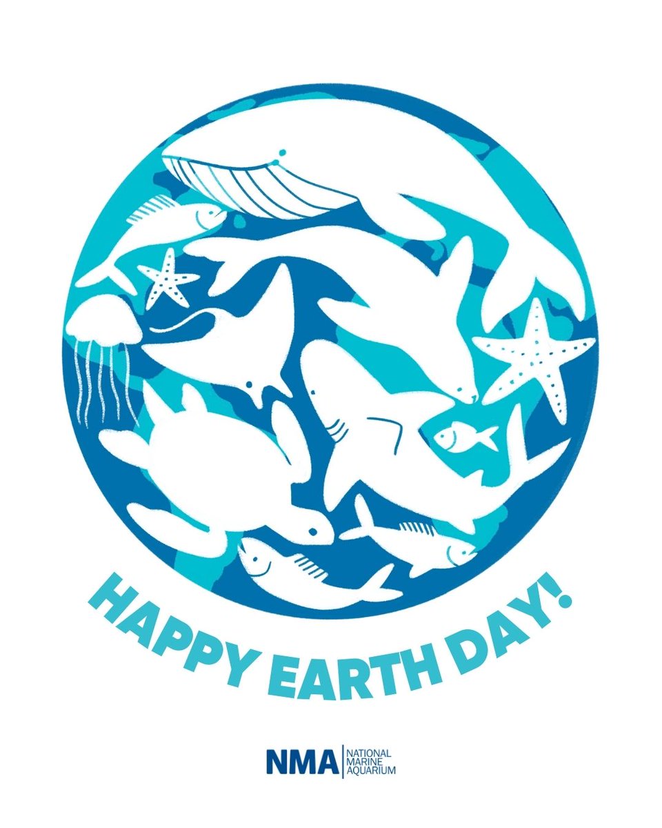 Wishing you all a very happy #EarthDay from all of us here at the NMA and @OceanCTrust! 🌍 Our Ocean supports all life on Earth, if we have no blue, we have no green. This Earth Day #thinkocean
