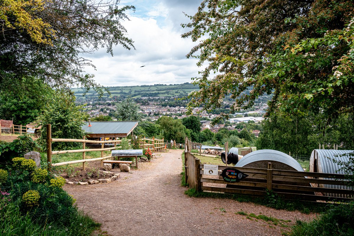 We're looking for 3 Trustees to join our board. Are you local to the Farm with professional skills or lived experience and could help us develop? For more information including the skills we seek and how to apply visit our website bathcityfarm.org.uk/jobs/trustees-… #trusteeopportunity