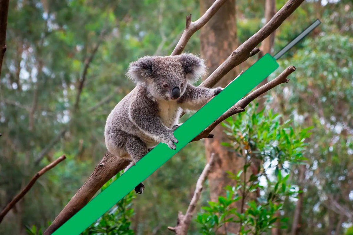 dropbearup's tweet photo. Painted huge green dildos all over base chain!

Does the TG still say we are on Sol? 
Yes

Did we actually relaunch on base? 
ALSO YES

Just Aussie schitzo things.
Buy the coin. OR ELSE https://t.co/yiYlMWwwYZ