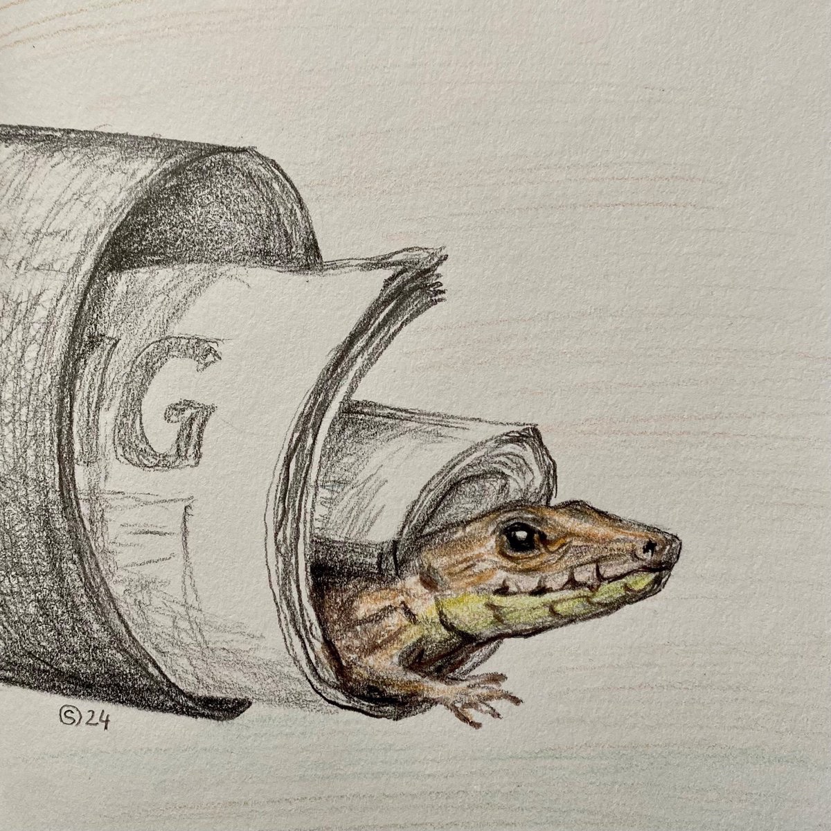 This is a true story:‼️ One morning, when I picked up the newspaper, there was a #lizard hiding in it! N is for #Newspaper in #Monday‘s #AnimalAlphabets @AnimalAlphabets #drawing #art #animals #illustration #MondayMood #kleinekunstklasse #zeitung #eidechse #MondayMotivation