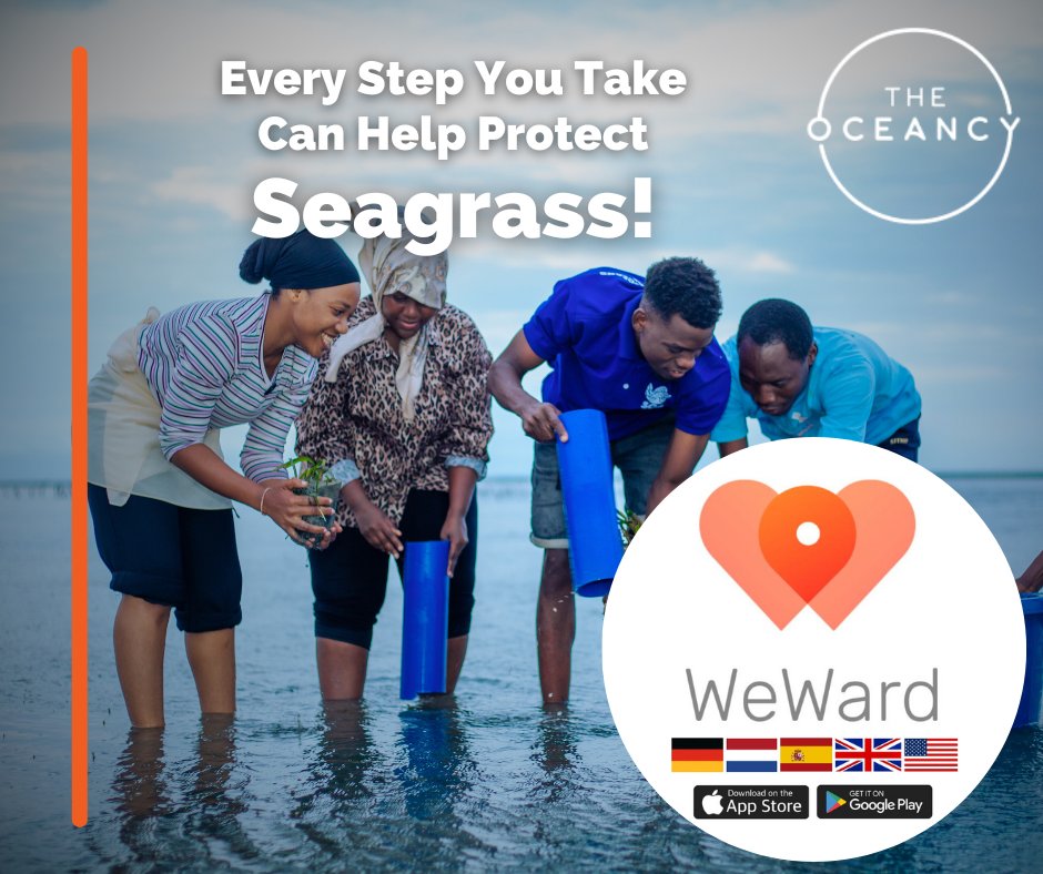 The Oceancy tweet media