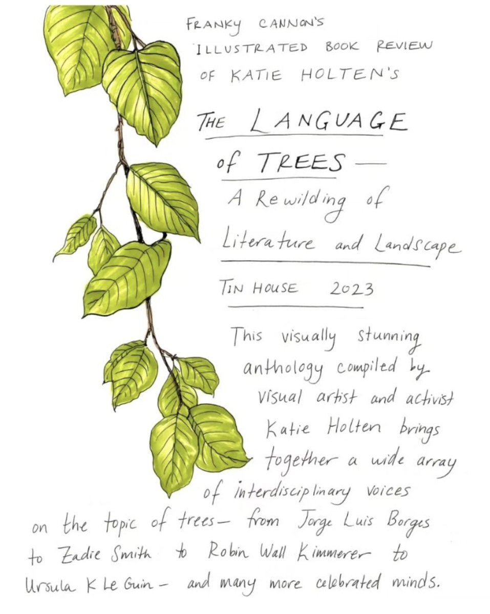 Katie Holten | Language of Trees🌳 | CRISIS 🇵🇸 tweet media
