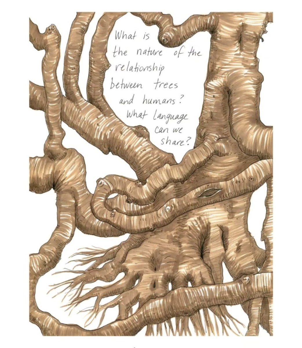 How lovely! An illustrated book review of THE LANGUAGE OF TREES, by @FrancesArtist for The Indianapolis Review theindianapolisreview.com/frances-cannon…