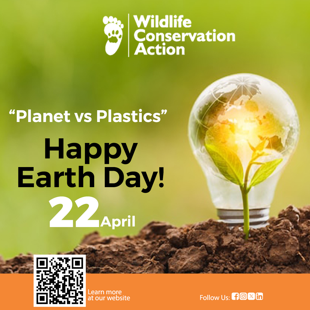 Celebrating #EarthDay2024 Read our latest blog post, highlighting the urgent need to address plastic pollution and protect our wildlife and their habitats. 🌍wildlifeconservationaction.org/post/planet-vs… #SaveOurPlanet #EndPlasticPollution