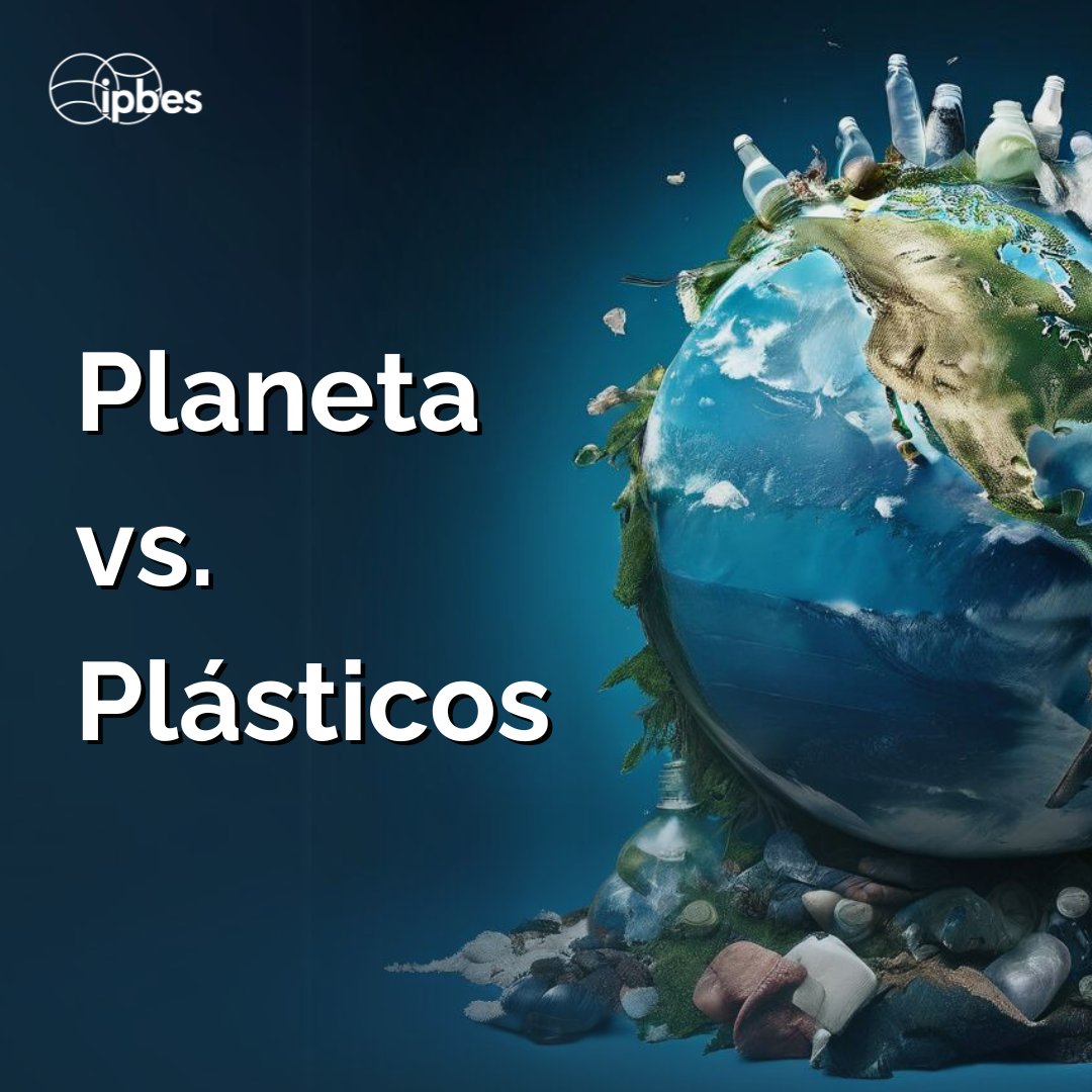 🌍En el #DíaDeLaMadreTierra, el mensaje es claro: #MaresLimpios para salvaguardar nuestro planeta y toda la vida que hay en él. El plástico ingerido amenaza a las especies marinas, incluyendo el 86% de las tortugas marinas. 🐢 - #EvaluaciónMundial de la @IPBES